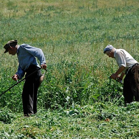 Turisme Rural Lo Palle De Cal Bosch Llagunes Buitenkant foto