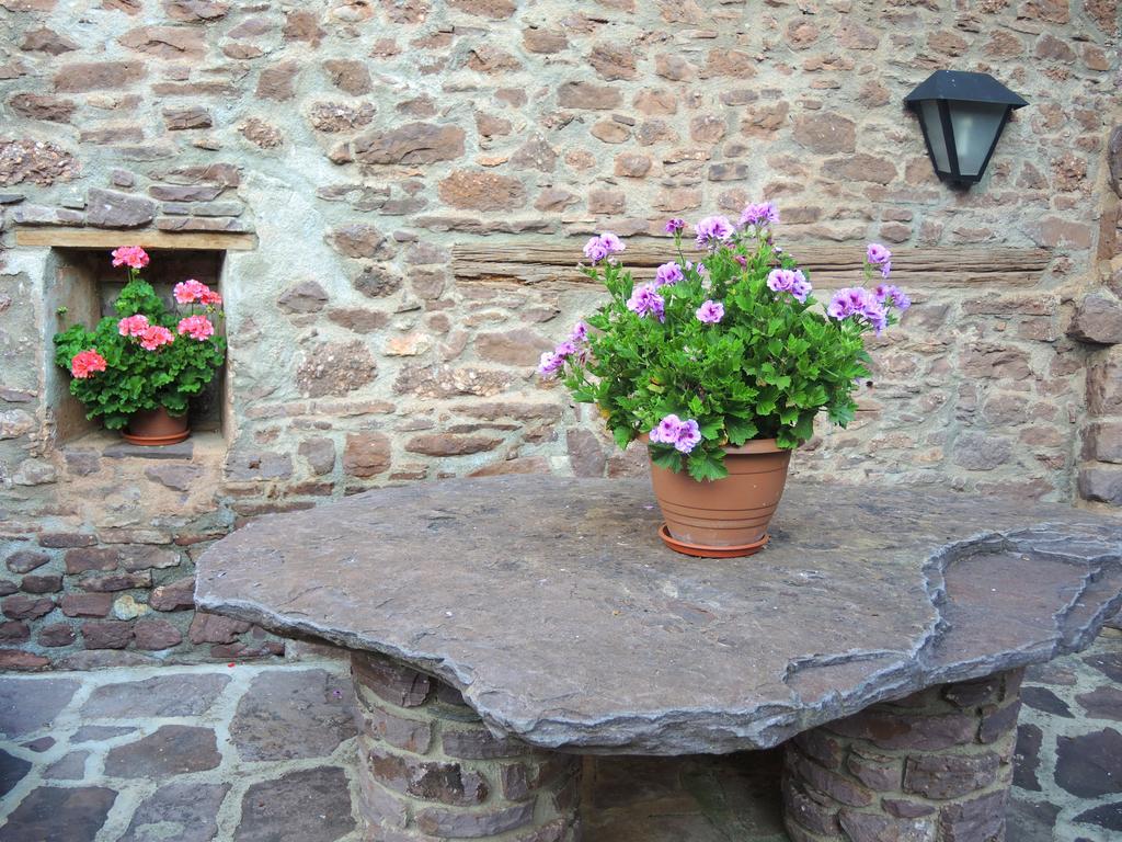 Turisme Rural Lo Palle De Cal Bosch Llagunes Buitenkant foto