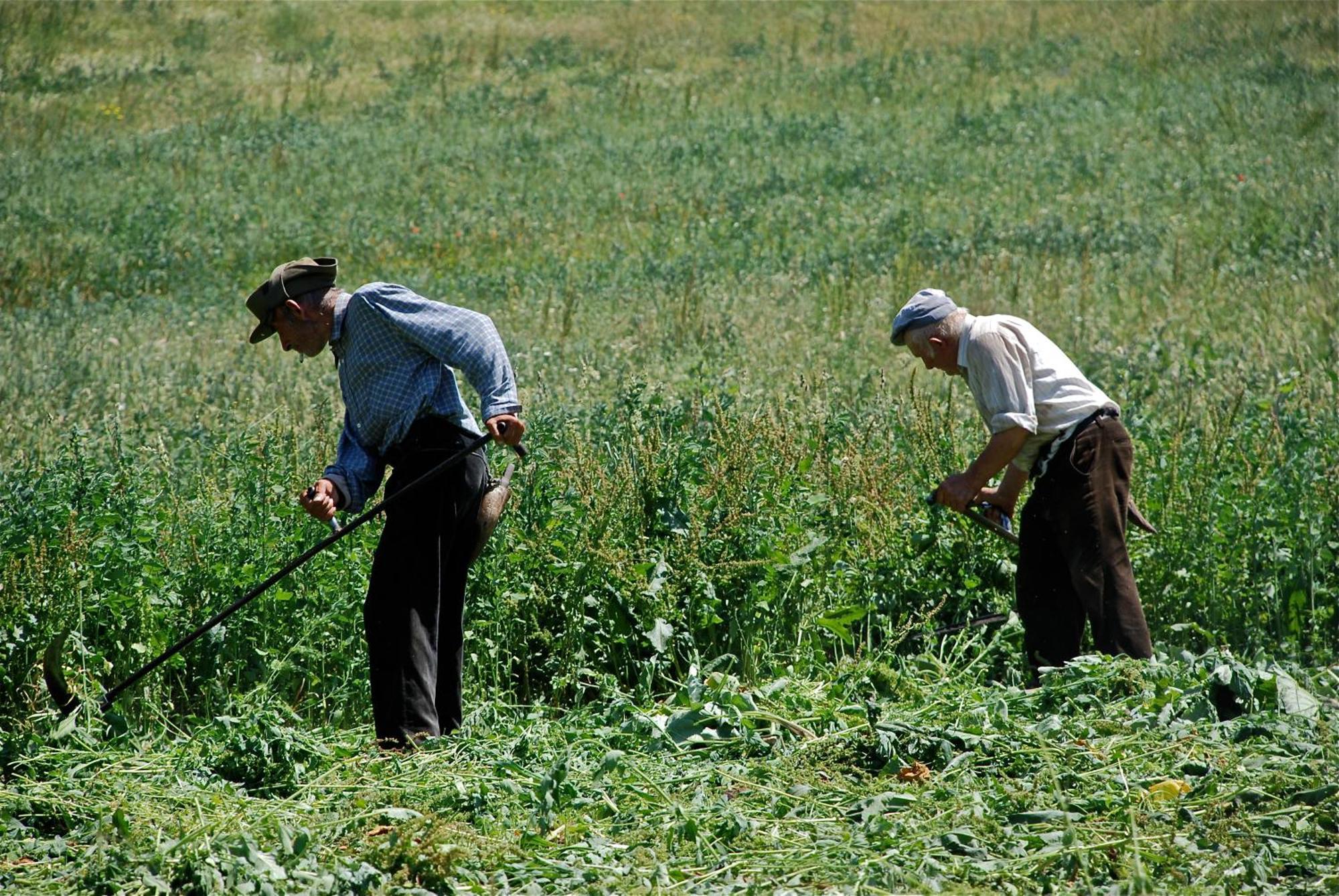 Turisme Rural Lo Palle De Cal Bosch Llagunes Buitenkant foto