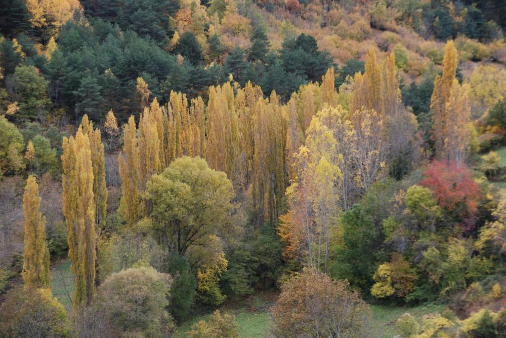 Turisme Rural Lo Palle De Cal Bosch Llagunes Buitenkant foto