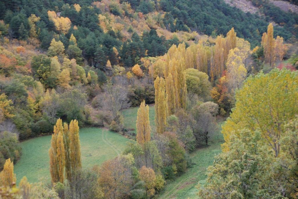 Turisme Rural Lo Palle De Cal Bosch Llagunes Buitenkant foto