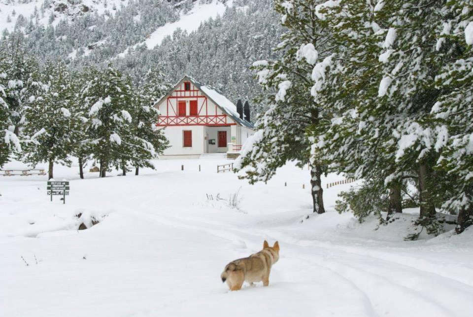 Turisme Rural Lo Palle De Cal Bosch Llagunes Buitenkant foto