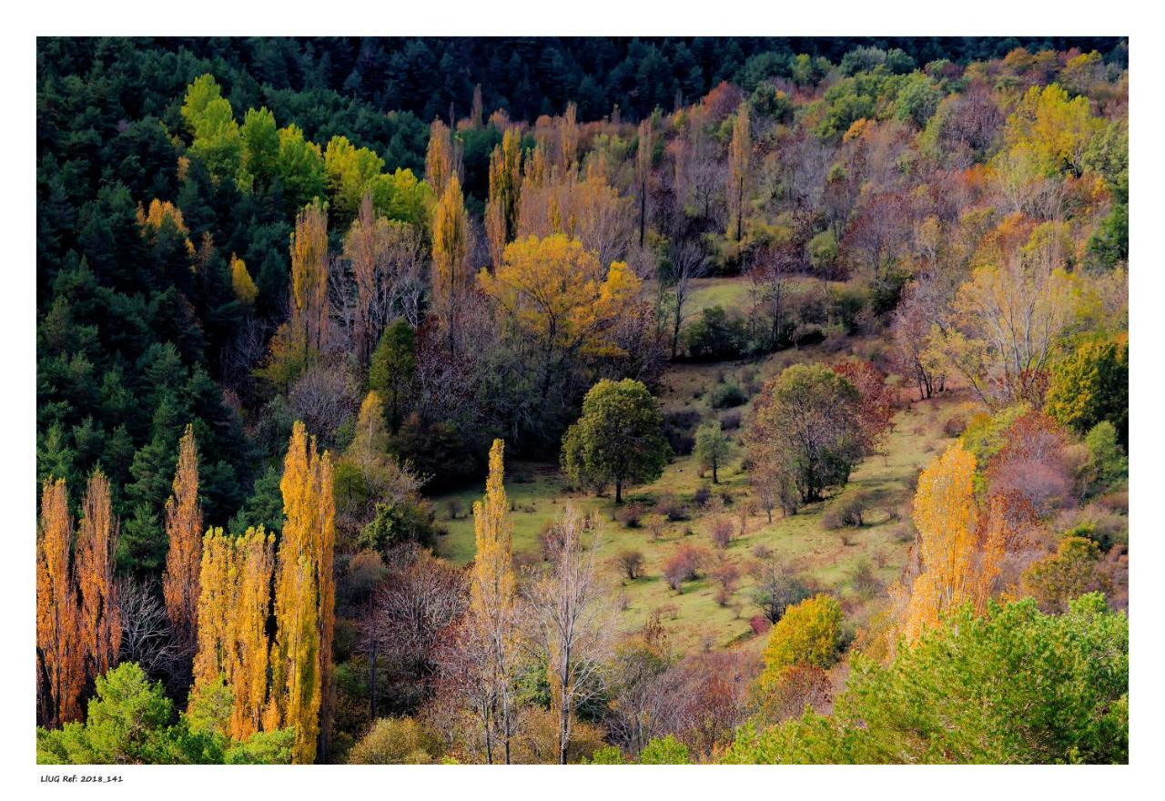 Turisme Rural Lo Palle De Cal Bosch Llagunes Buitenkant foto